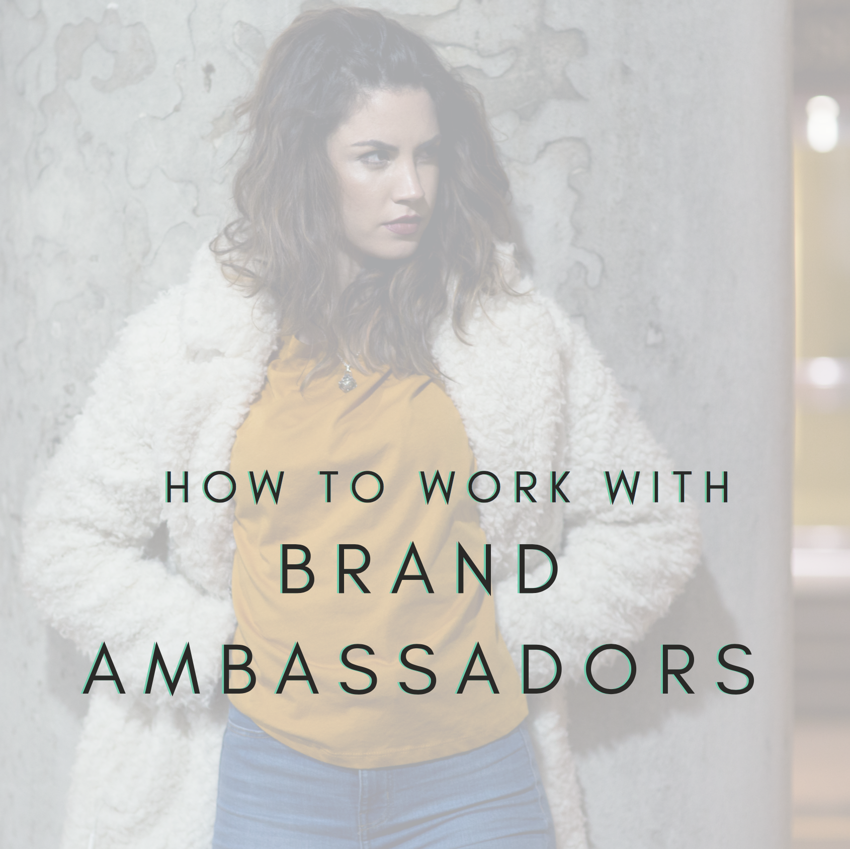 Small Business' guide to finding Brand Ambassadors
